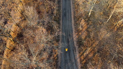 Woman in yellow jacket rides a bicycle on black dirt road between trees and agricultural fields on sunny autumn day. Top view. Woman on bicycle riding on dirt road on dirt road. Travel tourism