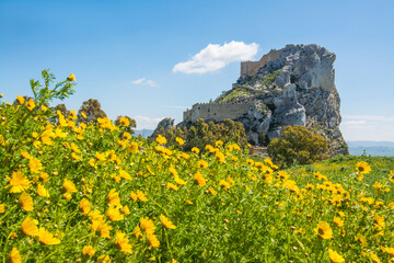 The castle of Mussomeli is a fortress built between the fourteenth and fifteenth centuries, in spring. Caltanissetta, Sicily, Italy. - 594548118