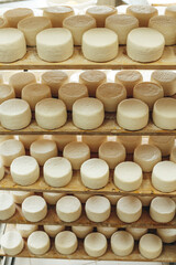 Abundance of Heads of Goat Cheese on Shelf Stands Arranged to Ripen on Cheese Farm