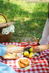 Spending time in nature - picnic, accessories for picnic
