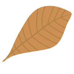 Autumn leaf