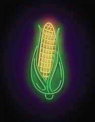 Glow single ear of sweetcorn with green leaves.  Fresh corn, maize. Neon Light Poster, Flyer, Banner, Signboard. Glossy Background. Vector 3d Illustration 