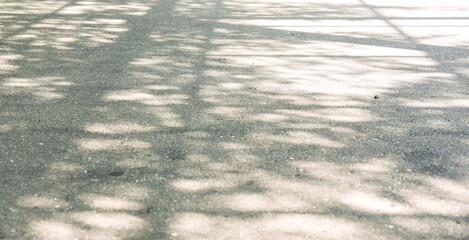 コンクリートに映る木洩れ日