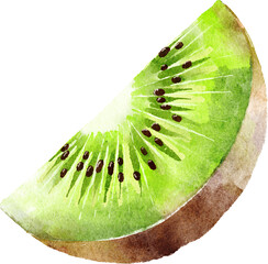 Kiwi watercolor digital painting © Pure Stock
