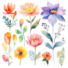 Obraz premium Watercolour floral illustration set. Decorative elements template on white background