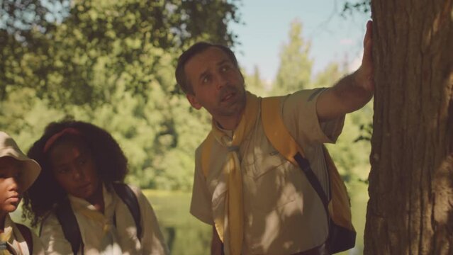 Medium shot of adult male Caucasian scouter leaning on tree trunk and talking about forest flora to group of African American kids in scout uniform