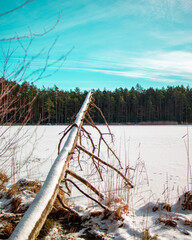 frozen lake in winter