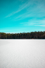 landscape with lake IN WINTER