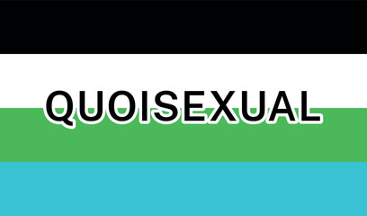 View of International Quoisexual Pride Flag