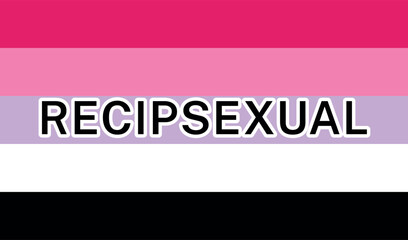 View of International Recipsexual Pride Flag