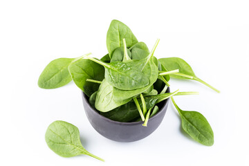 Green spinach on a white background