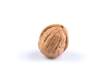 Dried walnut