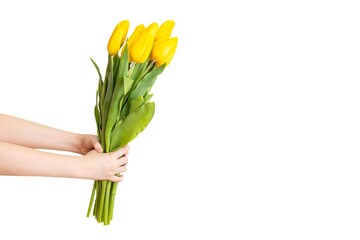 Childrens hands hold a bouquet of yellow tulips, isolated