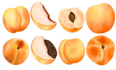 summer fruit png , Peaches Fruit Summer .