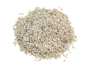 Lettuce seeds on a white background. Pile of lettuce seeds ready to plant top view. Gray small seeds for growing microgreens.