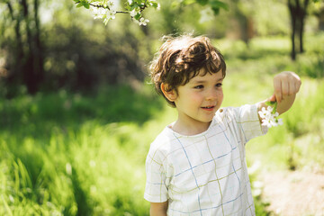 Happy little boy walking in spring garden. Child playing with branch of an cherry tree and having...