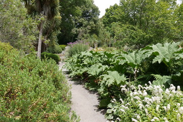 Gartenweg im Botanischen Garten von Christchurch