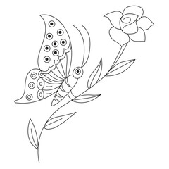 Butterfly Drawing Design