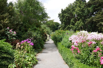 Blumen und Weg im Botanischen Garten in Christchurch Neuseeland