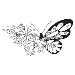 Butterfly Drawing Design