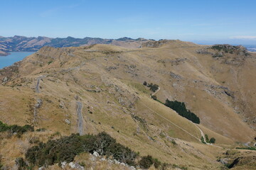 Fototapeta na wymiar Kahle Berge bei Lyttleton und Christchurch an der Caldera in Neuseeland am Bridle Path