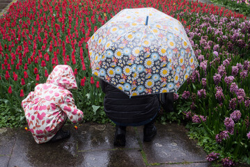 Portrait on back view of woman with a printed flowers umbrella in a flowers field in a public...