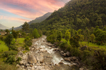 Mountain river water flow in green Chopta Valley, Uttarakhand.