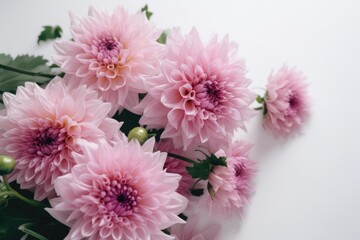 Top view of pink dahlia flower bouquet isolated on white background. AI Generated.