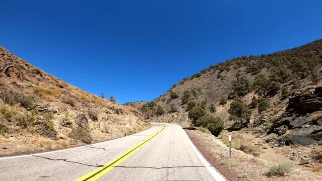 Hwy 168 13 Patriarch Grove Driving POV California