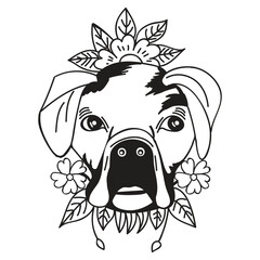 Dog Drawing Design