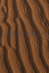 sand dunes in the desert