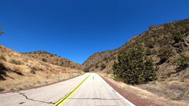 Hwy 168 16 Patriarch Grove Driving POV California