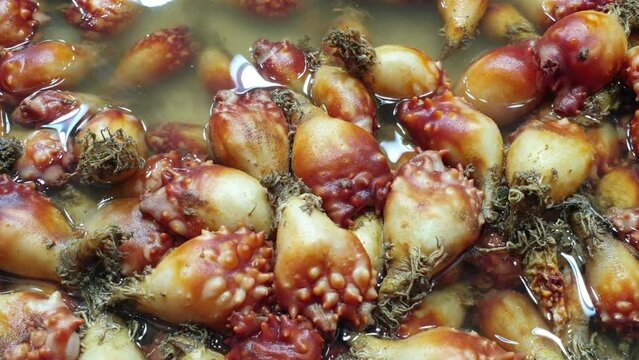 Sea squirt is one of the seafood that Koreans like.
