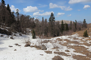Obraz na płótnie Canvas Lago-Naki plateau in spring, Republic of Adygea, Russia