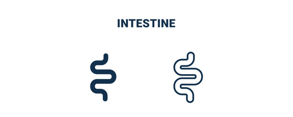 intestine icon. Outline and filled intestine icon from medical collection. Line and glyph vector isolated on white background. Editable intestine symbol
