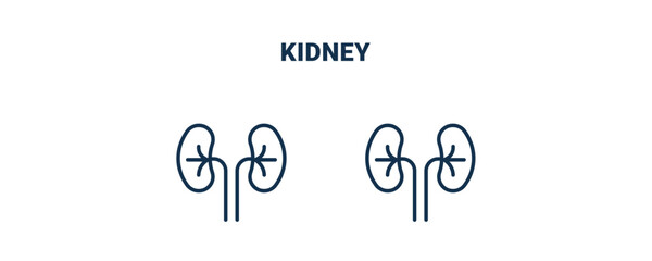 kidney icon. Outline and filled kidney icon from medical collection. Line and glyph vector isolated on white background. Editable kidney symbol
