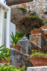 Several green plants in pots stand outside on a stone staircase as decoration with a stone wall in the background. A typical mediterranean lifestyle scene.