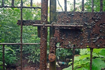 Old rusty gate locked with padlock