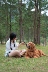 Golden Retriever sitting with owner on grass