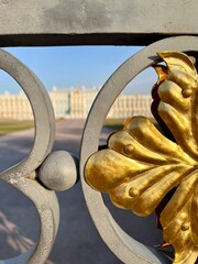Golden fence grate of the tsar palace