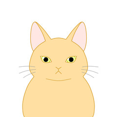 正面を向いた茶色の猫