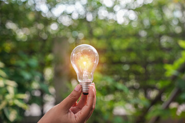 light bulb against nature, icons
