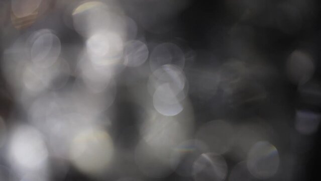 Gentle and Ethereal Defocused Bokeh of Natural Foliage on Black Background, Illuminated by Soft Light