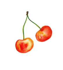 
Watercolor drawing of cherry berries. Two yellow-orange berries on a white background.
