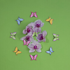 Butterflies of various colors surrounded an orchid flower on a green background. Minimal flat lay composition.