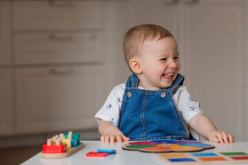 A little boy is playing educational logic games. Children's wooden toys. Sorter. Montessori for child development.