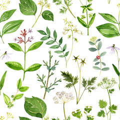 watercolor drawing seamless pattern with green plants and flowers at white background, hand drawn illustration, natural backdrop