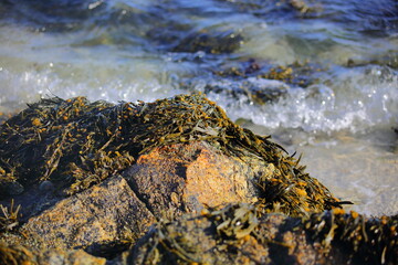 Brittany FR coastline