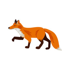 Obraz premium vector drawing fox, hand drawn animal isolated at white background , cartoon style character