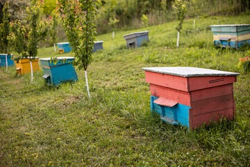 Full length image of a bee colorful home at meadow, in a beautiful garden.